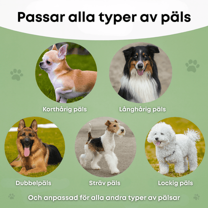 MjukPäls™ – Hundborste som stoppar fällning och håller hemmet rent
