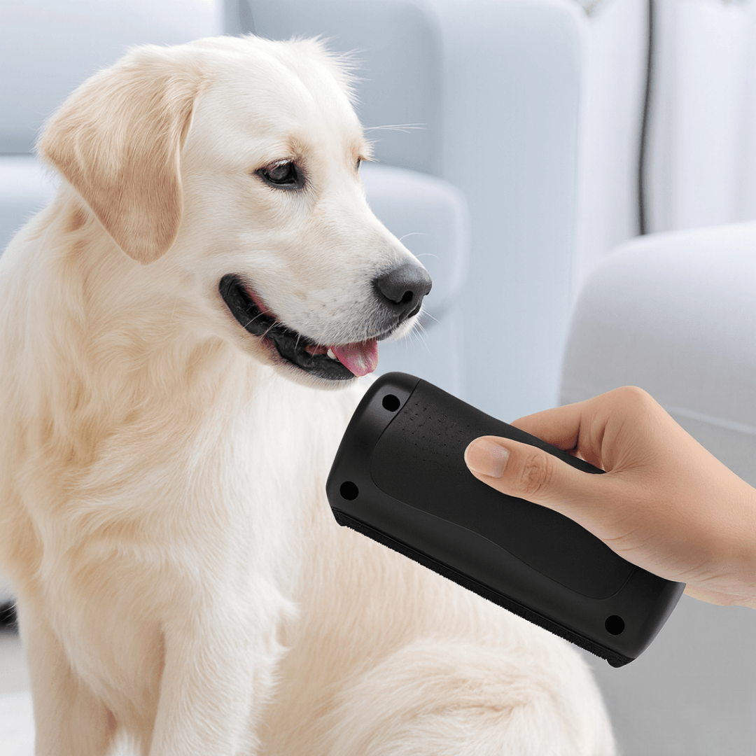 MjukPäls™ – Hundborste som stoppar fällning och håller hemmet rent