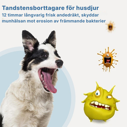 HundSmile™ skummande tandstensborttagare för husdjur